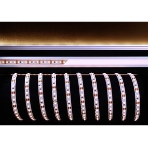 Light Impressions Deko-Light flexibilní LED pásek 3528-120-12V-2700K-5m 12V DC 36,00 W 2700 K 2250 lm 5000 mm 840164